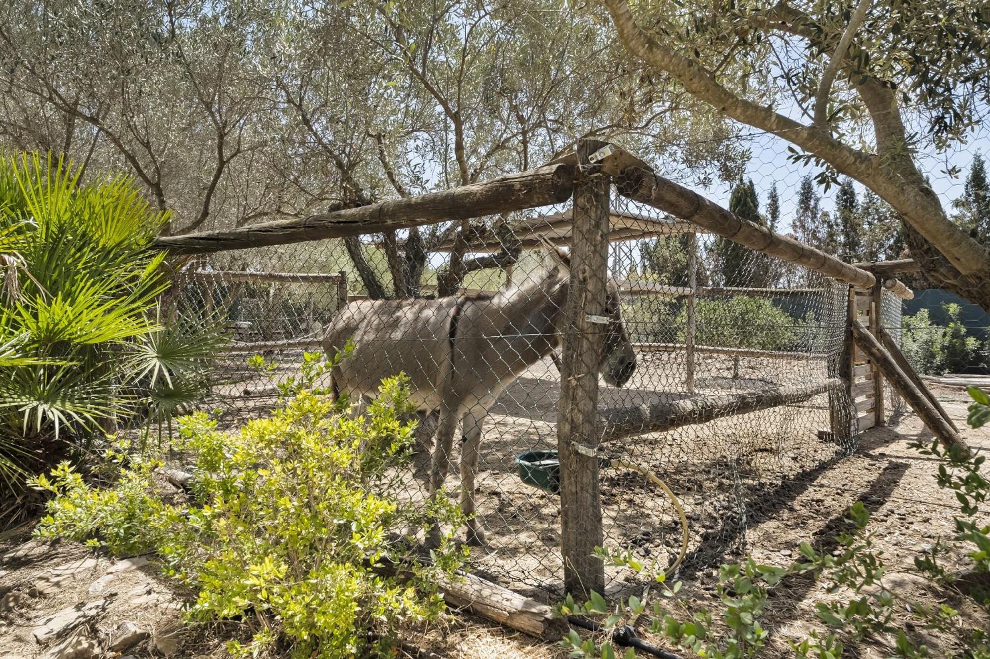 Cambiardeaires Rural Piedra Villa Pilar de la Horadada Exteriör bild